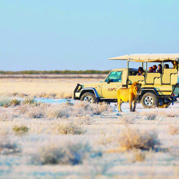 Nam Tourist Namibia receives 1.2 million tourists