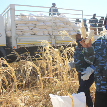 Rietfontein anticipates bumper harvests