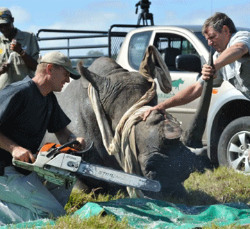 Screenshot-2025-12-08-at-11.33.28-AM Eyindilo lyaNamibia okulanditha omayego geeminda neendjaba lya tindwa