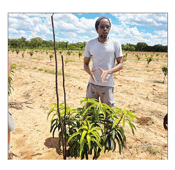 Exchanging the pen for a hoe  …former newsman Nashongo tills the soil for food security  