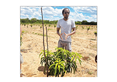 Screenshot-2025-12-11-at-9.11.05-AM Exchanging the pen for a hoe …former newsman Nashongo tills the soil for food security