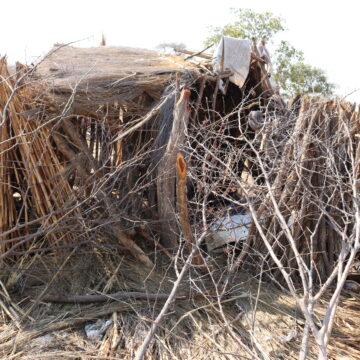 Family left homeless after elephant invasion