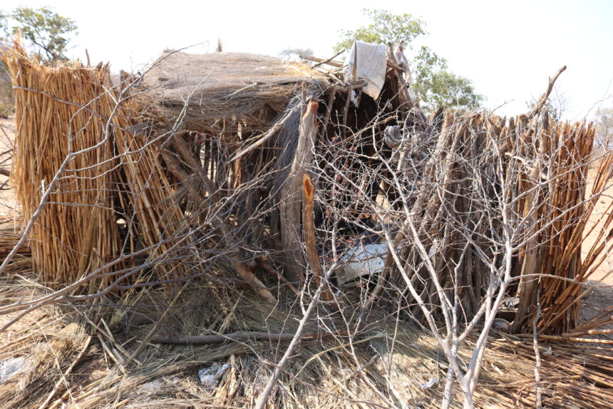 Family left homeless after elephant invasion