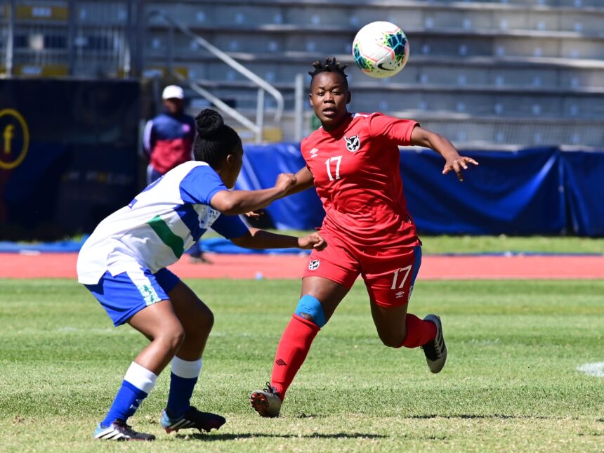 Gladiators, Warriors owed by NFA 