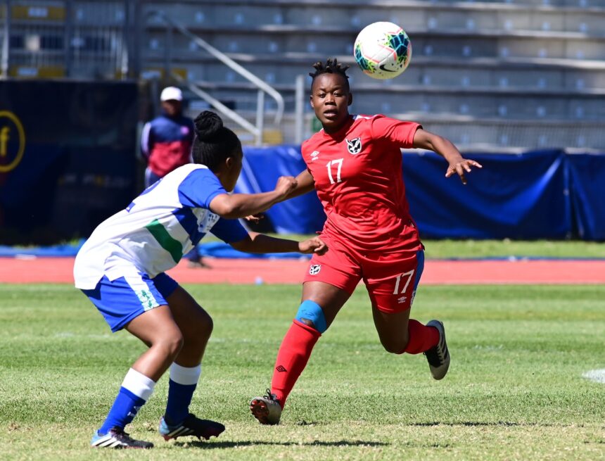 Gladiators, Warriors owed by NFA 