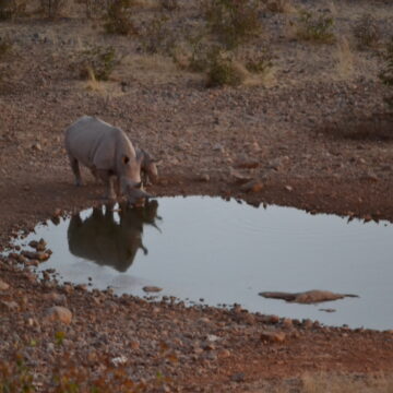 tourist revival Tourism taskforce prepares reopening plans