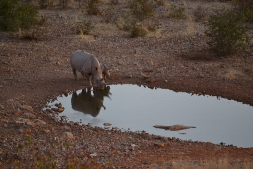 tourist revival Tourism taskforce prepares reopening plans