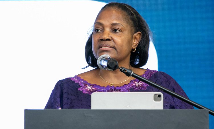 Flood Risk Govt issues flood risk warning