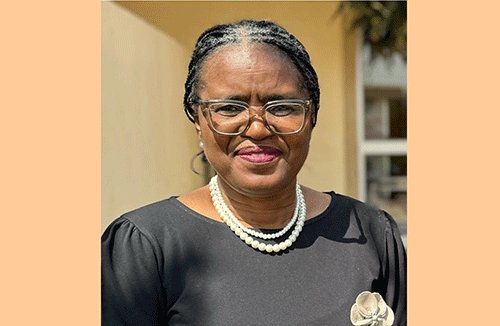 Tourist Ovatalelipo voshilongo va yambapaleka eliko laNamibia