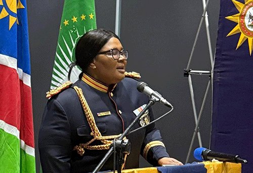 Namibia’s flag flies high in Interpol race 