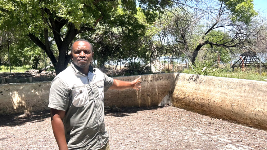 Crocodile Park Plans underway for crocodile park in Rundu