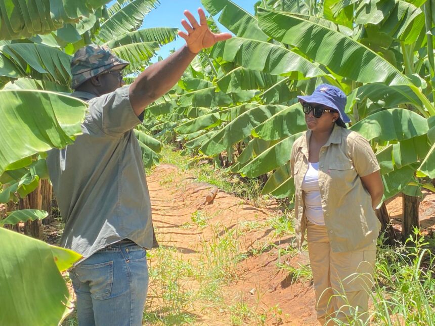 Etunda visit Minista womauyelele a talela po Etunda