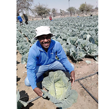 From garden to store  …village farmer feeds towns 