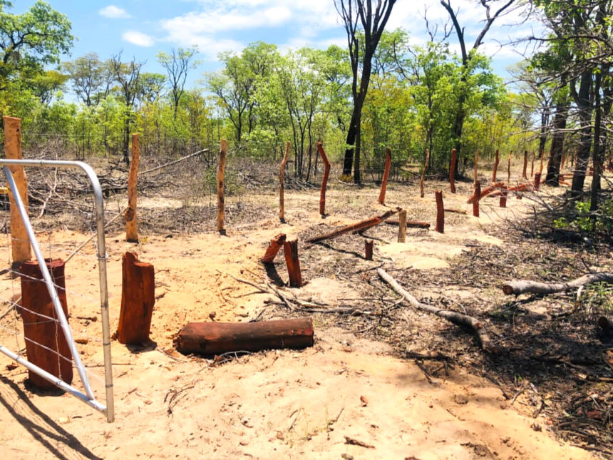 22 Okongo illegal fences on chopping block …196 reported, 126 investigated