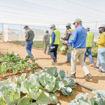 Green schemes gear up for productive season