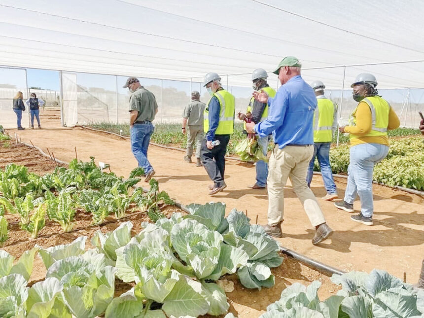 Green schemes gear up for productive season