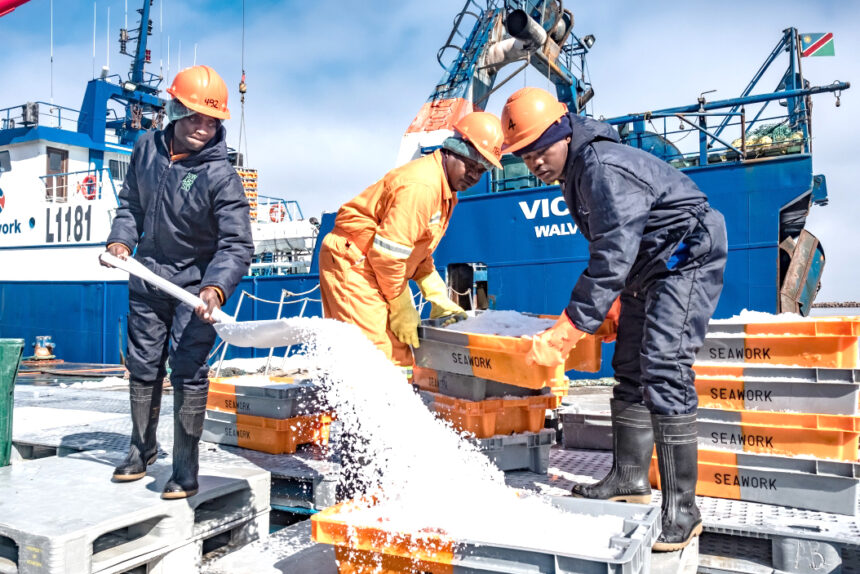Namibia’s hake fishery secures second MSC certification