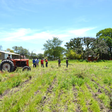 Willing buyer, willing seller days ‘numbered’