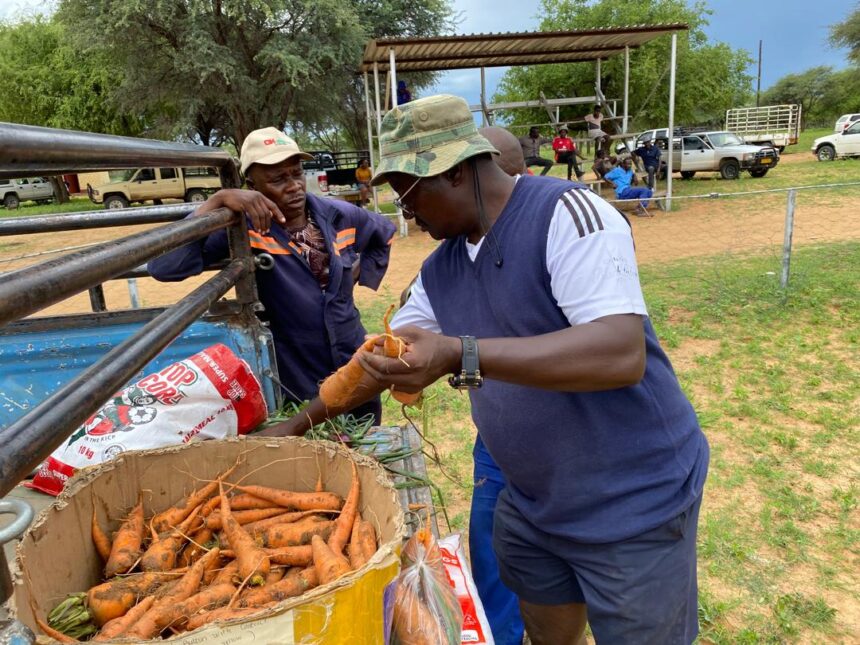Ovambanderu garden blooms 