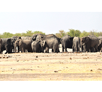 Namibia Africa’s top 2025 tourism destination … amended park fees to generate revenue