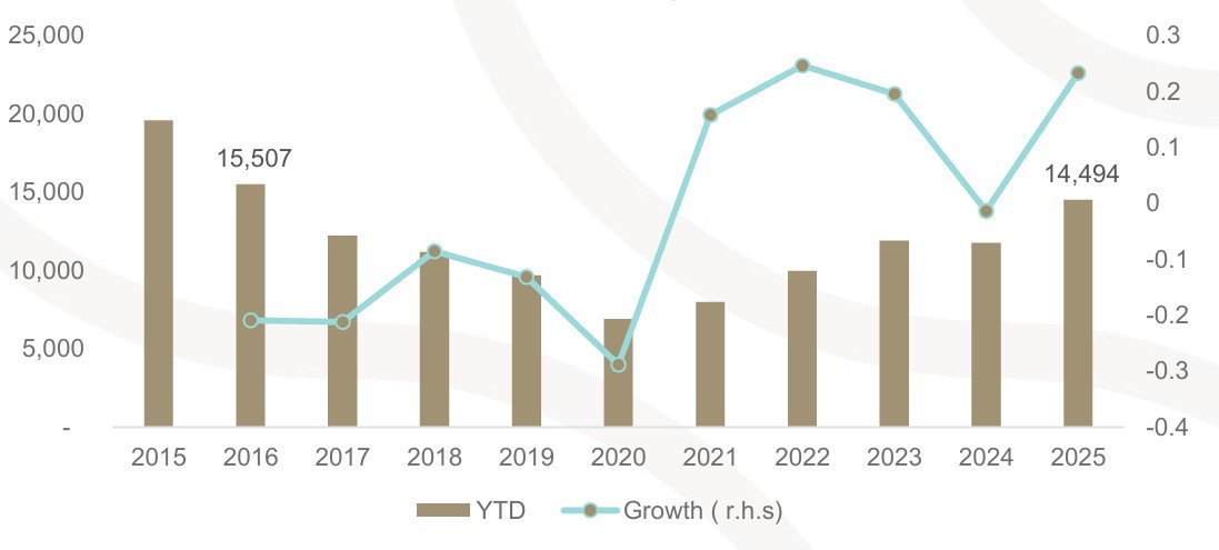 Domestic vehicle market drives into 2026 at inflection point
