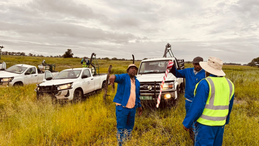 Govt beefs up locust control measures in Zambezi