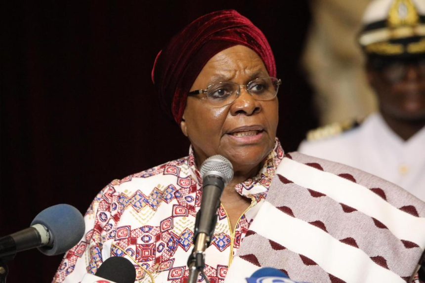 Inside Nandi-Ndaitwah’s AU bag 