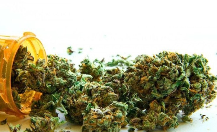 Arrested Dagga Ongeshefa yiingangamithi moondjedhililo ya mvuka