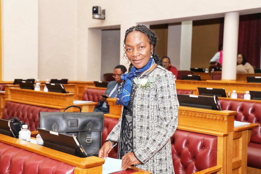 Shafudah  manoeuvres tight  fiscal  space … Analysts call for certainty, more investment