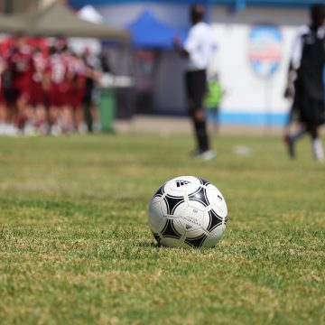 Bush Bucks, Shooting Stars collect maximum points