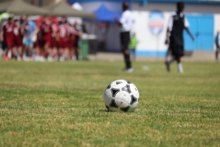 Bush Bucks, Shooting Stars collect maximum points