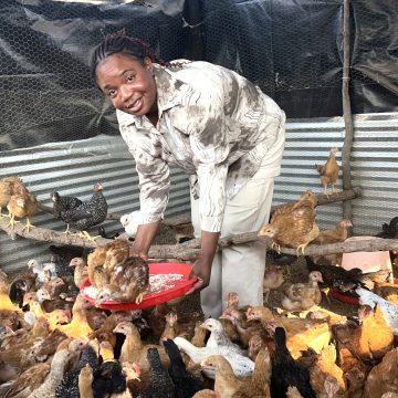 From lockdown hobby to regional powerhouse … rise of Jostaria Trading CC