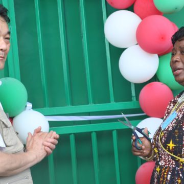 Likolo za Liswani III, Impalila lifumana makilasi 