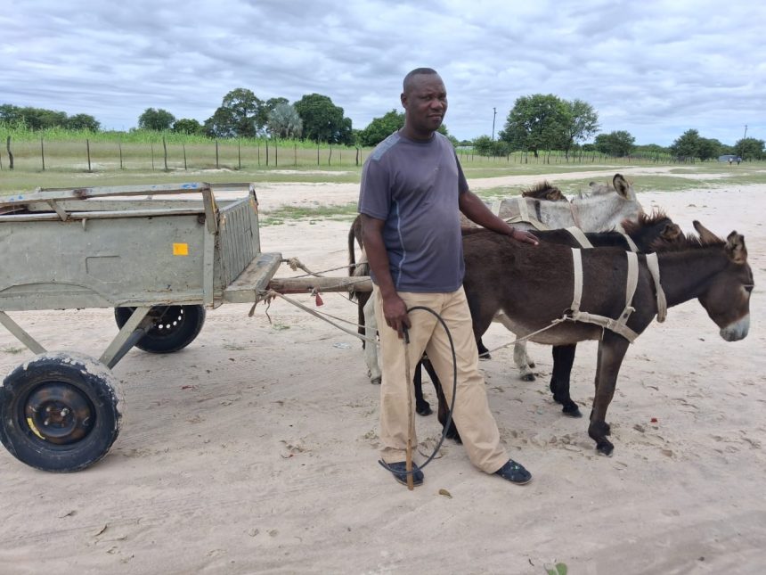Okatemba keendoongi ta ka denge po onghai yoyeendifo 