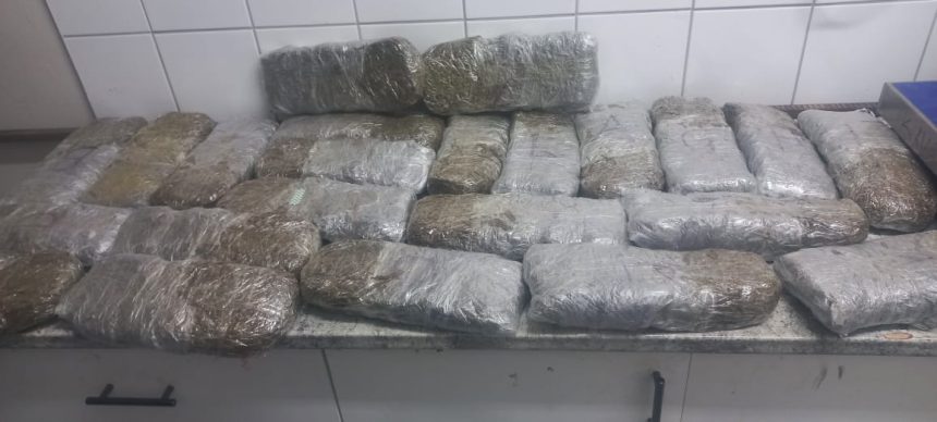 Police seize nearly 12 kg of cannabis at Nankudu