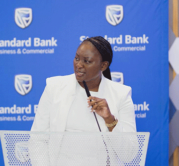 SB doubles down on renewable energy … commits N$450b 
