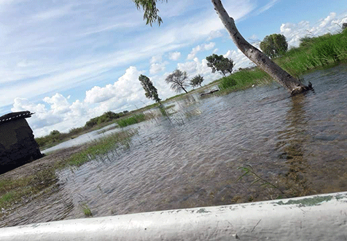 Flood Kabbe South battles seasonal flooding …farmers count losses