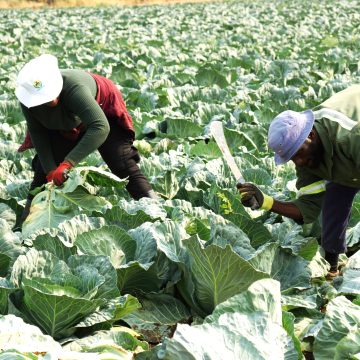 DBN approves N$15m for NYDF