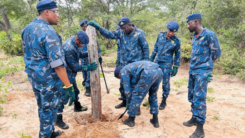 Okongo’s illegal fences falling