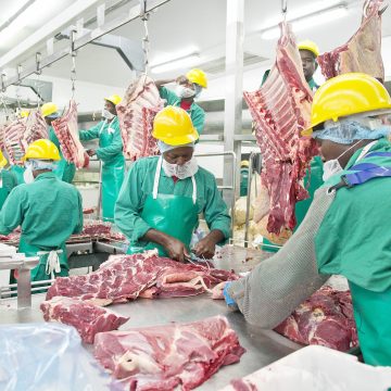 Zaamwani calls for reform, FMD vigilance …  as Meatco advances recovery