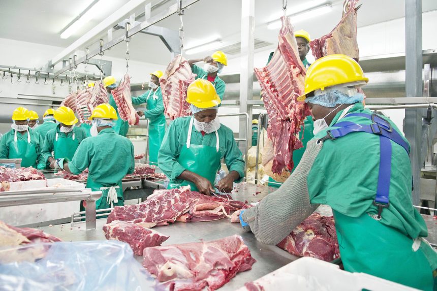Zaamwani calls for reform, FMD vigilance …  as Meatco advances recovery