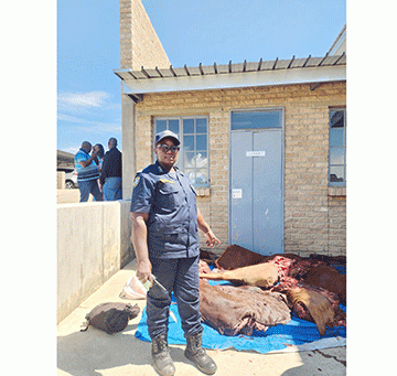 Cattle ‘rustler’ arrested 