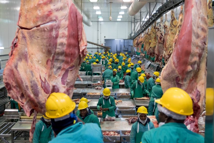 Meatco committed to Halaal compliance excellence