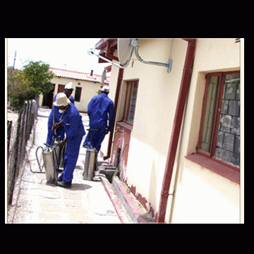 ‘Mosquito nets over indoor spraying’