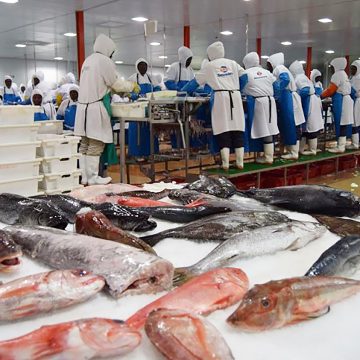 Fish, fruit drive growth in non-mineral exports  …N$429m in fruit, nut, fish exported 