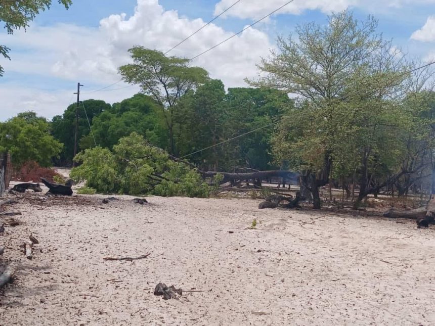 Va indilwa va xulife po okuhanauna oikwamalusheno 