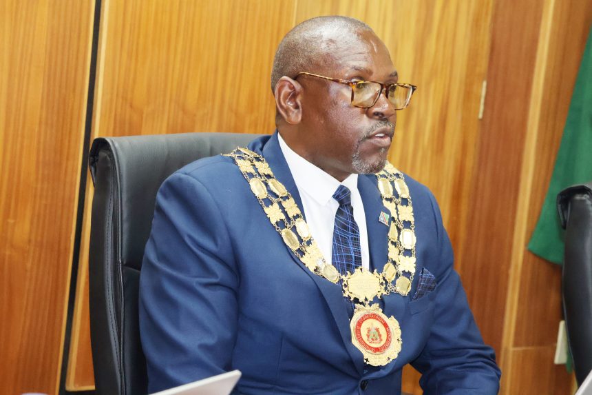 Otjiwarongo mayor calls for unity, accountability