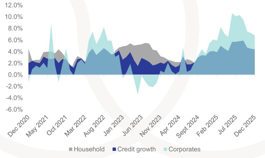 Cautious consumers cause low credit growth 