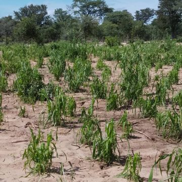 Va fiwa koshikungulu shodula pomutenya 