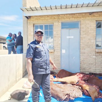 Wokuvaka nongombe kavavakwete